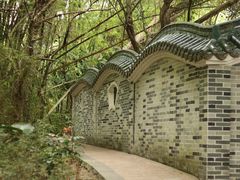 -大屏嶂森林公园