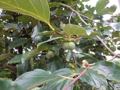 -敬亭山风景名胜区