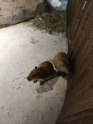 -长沙云顶星河游乐园(步步高·梅溪新天地店)