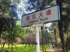 -武汉大学-樱园