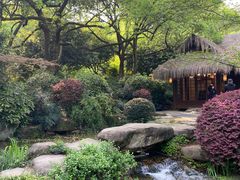 -中国茶叶博物馆(双峰馆区)