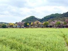 -红山村