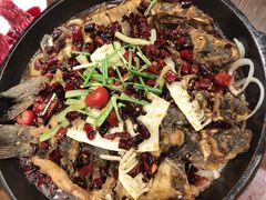 老板恋上鱼-老板恋上鱼(高新万达店)