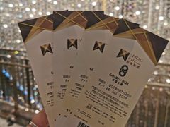 -影汇之星8字形摩天轮