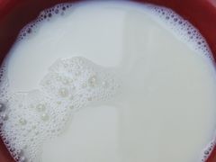 豆浆-李刚油条