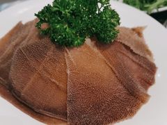 -华晟山城火锅(开发区港西东阁里店)