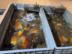 -十八字金·银饰·拼豆·开蚌DIY(魏公芳华里店)