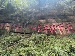 -青城山
