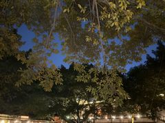 -喜洲吧·江畔老船厂·庭院餐厅(喜临院店)