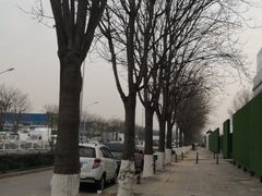 -北京新发地农产品批发市场-特菜交易厅