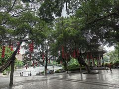 -荔湾湖公园