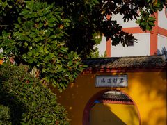 -上海东林寺(金山区)