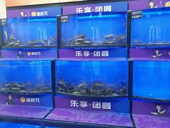 -蟹状元大闸蟹·年货·粽子(成都成华店)