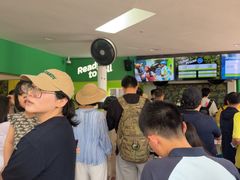-圣淘沙天际线斜坡滑车