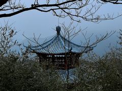 -江南天池