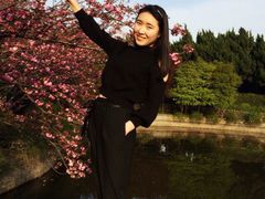 -嘉定紫藤园
