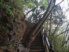-塔云山