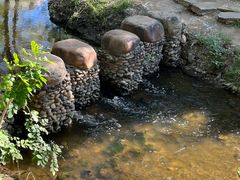 -长白岛森林公园