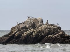 -辽宁团山国家级海洋公园