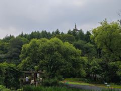 -萨尔浒风景区