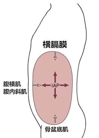 腹内压测量图片图片