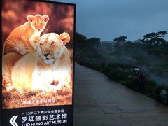 -罗红摄影艺术馆