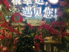 -一笼小幸运