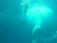 -石林冰雪海洋世界