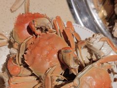 -鑫海汇海鲜烤肉自助(北国商城店)