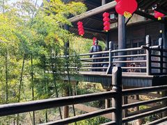 -大唐贡茶院