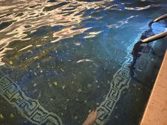 -丽思卡尔顿酒店泳池(金融街店)