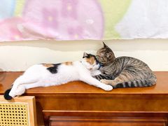 -大象厨房(重庆道店)