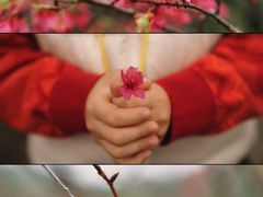 -世间香境·七溪地