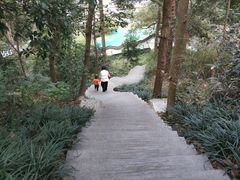 -杭州少年儿童公园