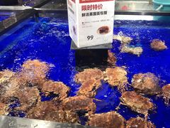 水产区-盒马鲜生(新都心店)