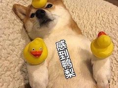 -一鸣真鲜奶吧(余杭东莲店)