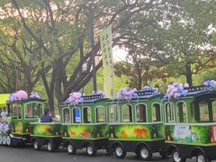 -昆山城市生态森林公园