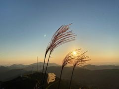 -东白山