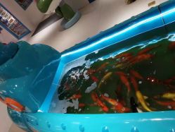 -乐多星球潮玩中心(沈阳嘉里城店)