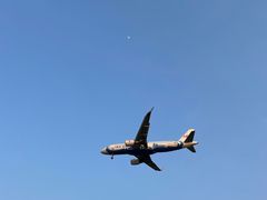 -空港花田景区