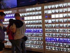 -枫花园汽车电影院(朝阳公园店)