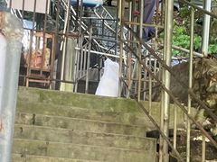 -世界洞漂之王老虎谷漂流
