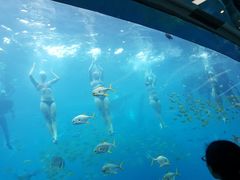 -瑞德姆美人鱼海底演艺主题餐厅(亚龙湾店)