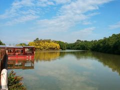 -大湾区中央湿地公园