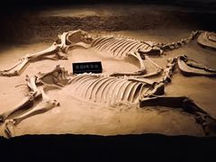 -洛阳周王城天子驾六博物馆