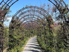 -福建鲤鱼洲酒店