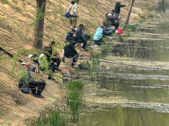 -大兴区体育中心游泳馆