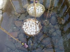 -天芳悦潭度假村温泉