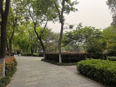 -莲湖公园