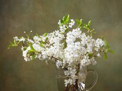 -中国移动(簇桥营业厅店)